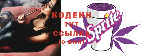 мдпв Киреевск