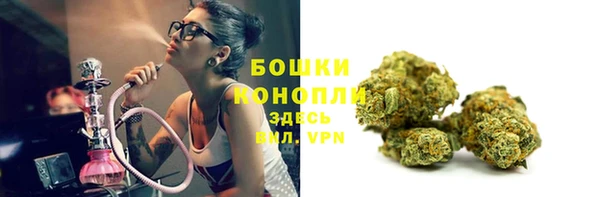 мдпв Киреевск