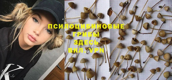 2c-b Киренск