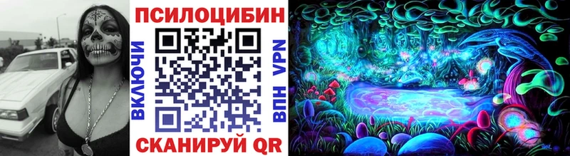 Купить закладки  Городовиковск  Псилоцибиновые грибы Psilocybine cubensis 
